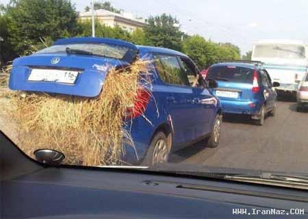 عکس های جالب و دیدنی چهارشنبه 9 آذر 1390