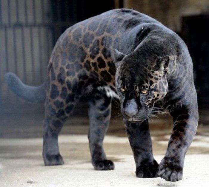 عکسهای دیدنی یکشنبه : 4 مهر 1389