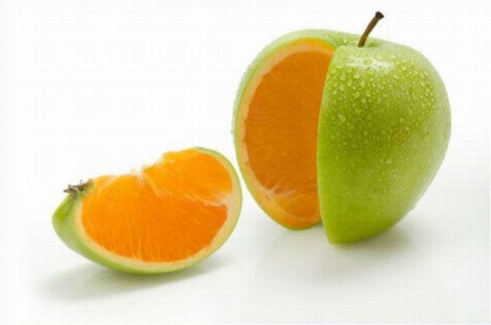 عکسهای دیدنی دوشنبه : 29 شهریور 1389