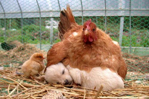 عکسهای دیدنی شنبه : 27 شهریور 1389