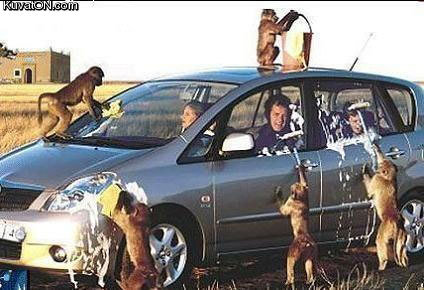 عکسهای دیدنی دوشنبه : 29 شهریور 1389