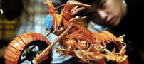 عکس های باورنکردنی از ساخت موتور با خرچنگ!!
