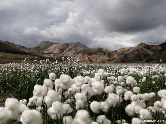 عکس های جالب و دیدنی جمعه 25 آذر 1390