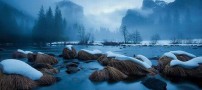 عکس های جالب و دیدنی شنبه 10 دی 1390