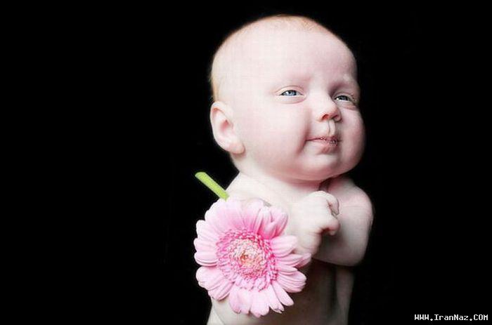 عکس های جالب و دیدنی سه شنبه 13 دی 1390