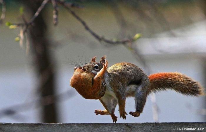 عکس های جالب و دیدنی جمعه 16 دی 1390
