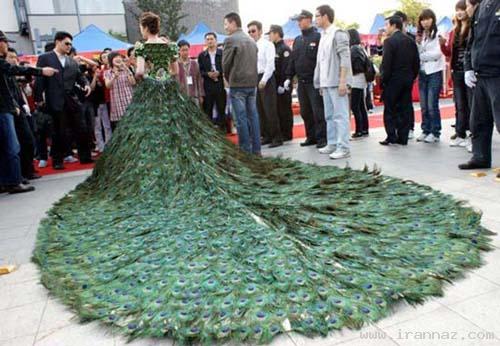 عکس های لباس عروسی جالب با 3 هزار پر طاووس!