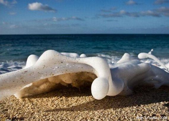 عکس های جالب و دیدنی دوشنبه 26 دی 1390
