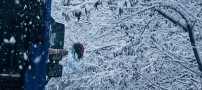 ازدواج جالب زوجی ایرانی در یک روز برفی ( تصویری)