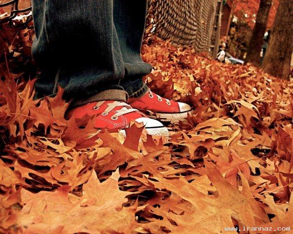 عکس های جالب و دیدنی سه شنبه 25 بهمن 1390