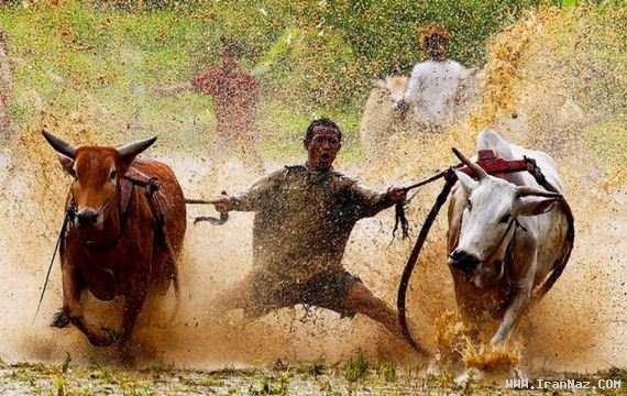 عکس های جالب و دیدنی دوشنبه 26 دی 1390