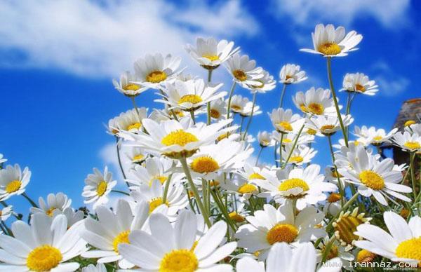 عکس های جالب و دیدنی سه شنبه 25 بهمن 1390
