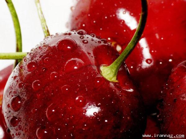 عکس های جالب و دیدنی سه شنبه 25 بهمن 1390
