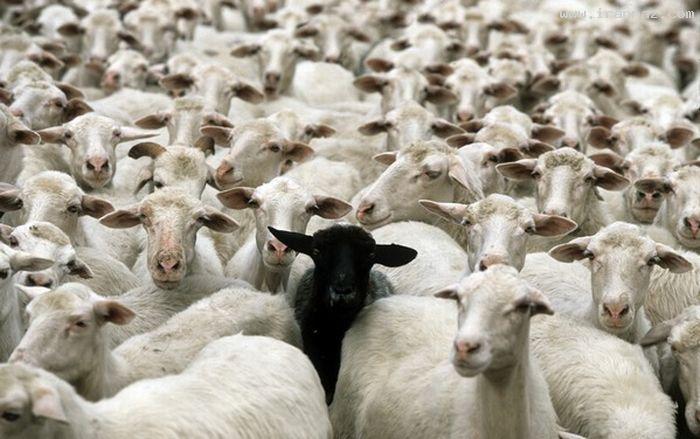 عکس های جالب و دیدنی جمعه 28 بهمن 1390