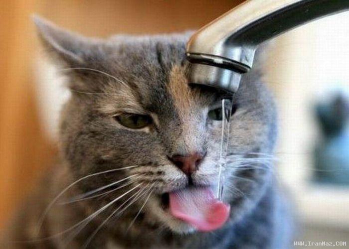 عکس های جالب و دیدنی پنجشنبه 13 بهمن 1390