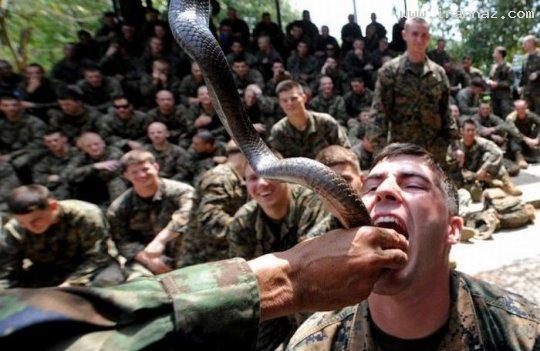 عکس های جالب و دیدنی دوشنبه 1 اسفند 1390