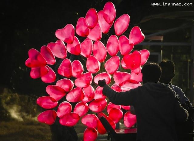 عکس های جالب و دیدنی چهارشنبه 3 اسفند 1390