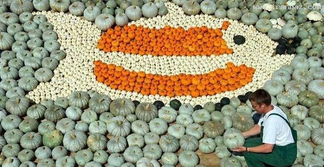 عکس های جالب و دیدنی جمعه 5 اسفند 1390