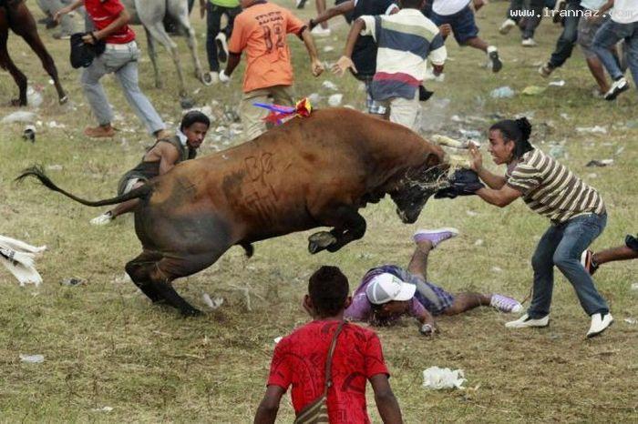 عکس های جالب و دیدنی یکشنبه 7 اسفند 1390