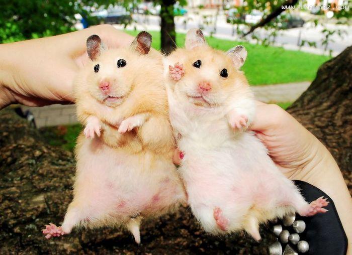 عکس های جالب و دیدنی دوشنبه 15 اسفند 1390