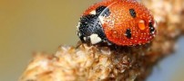 عکس های جالب و دیدنی جمعه 19 اسفند 1390