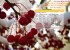 عکس های تقویم سال 91 مخصوص دسکتاپ کامپیوتر