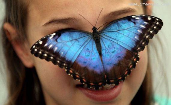 عکس های جالب و دیدنی چهارشنبه 23 فروردین 1391