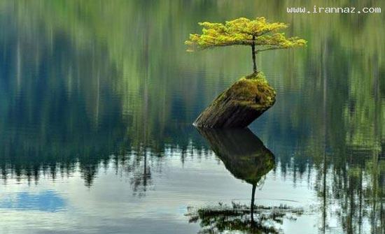عکس های دیدنی روز پنجشنبه 21 اردیبهشت 1391