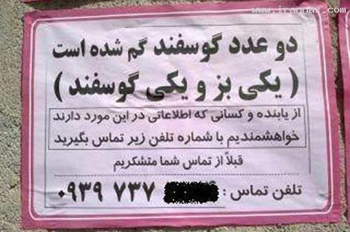عکس هایی خنده دار از جدیدترین سوتی های ایرانی