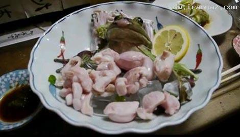 سرو قورباغه زنده به عنوان غذایی خوشمزه!! +عکس سرو قورباغه زنده به عنوان غذایی خوشمزه!! +عکس