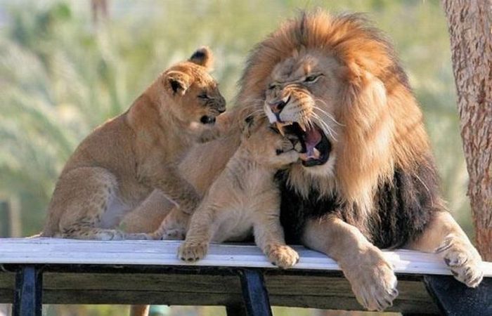 عکس های دیدنی روز شنبه 30 اردیبهشت 1391