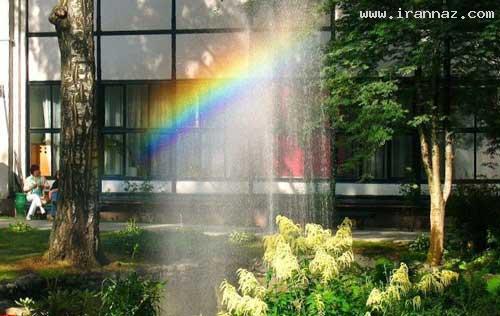 عکس های جالب و دیدنی روز شنبه 20 خرداد 1391