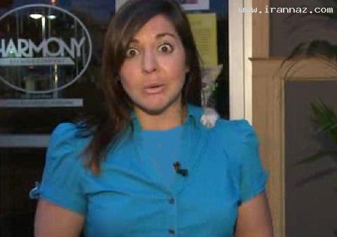 سوتی خانم گزارشگر با گربه در برنامه ی زنده +عکس