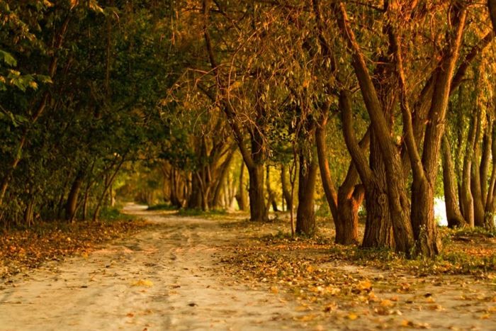عکسهای دیدنی شنبه : 10 مهر 1389