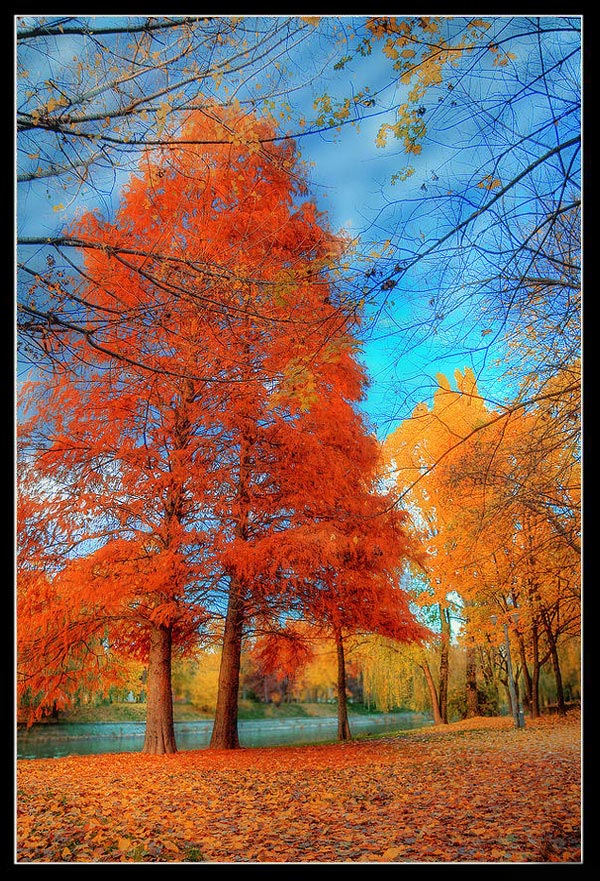 عکس هایی زیبا و بی نظیر از فصل پاییز