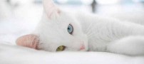 عکس های دیدنی و جالب جمعه 20 مرداد 1391
