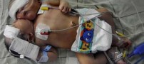 عکس های جالب و دیدنی روز پنجشنبه 12 مرداد 1391