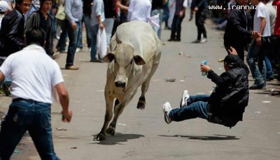 عکس های دیدنی و جالب چهارشنبه 8 شهریور 1391