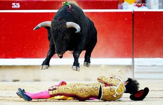 عکس های دیدنی و جالب شنبه 1 مهر 1391