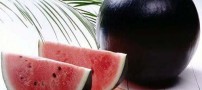 با گران ترین مواد غذایی در جهان آشنا شوید (عکس)