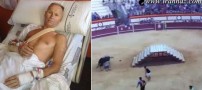 گاوبازی که فقط با خوش شانسی زنده مانده!! (تصویری)