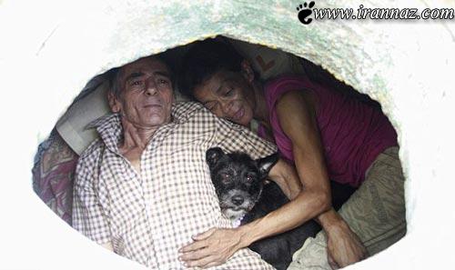 زندگی مردی با همسر و سگش در فاضلاب! (تصویری)