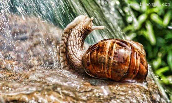 عکسهایی بسیار جالب و دیدنی