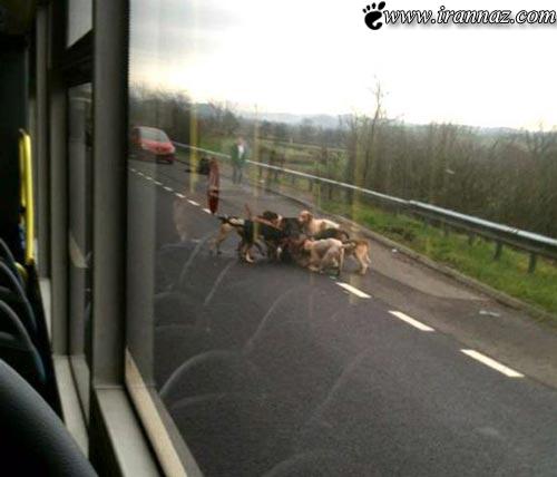 صحنه وحشتناک مقابل چشم مسافران اتوبوس (تصاویر)