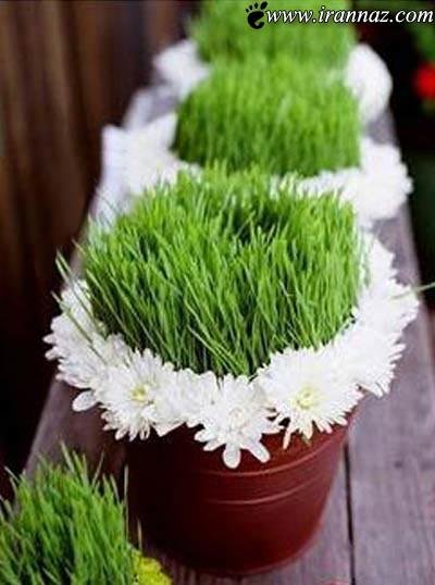 مدل های جدید سبزه هفت سین سال 1392