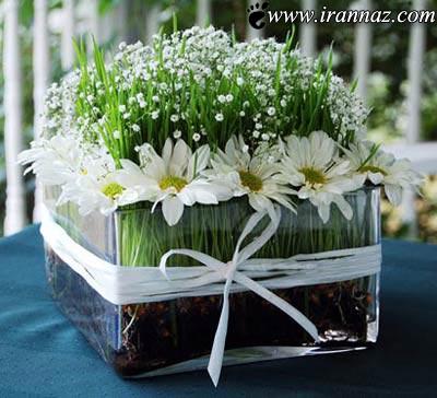 مدل های جدید سبزه هفت سین سال 1392