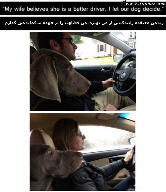 قضاوت جالب رانندگی زن و مرد توسط یک سگ (تصویر)