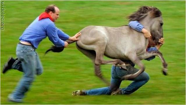 عکسهای فوق العاده از شکار لحظه ها