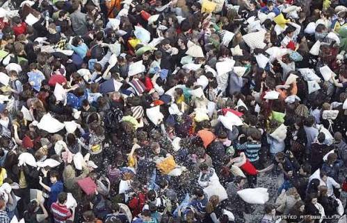 عکس هایی از جشن روز مبارزه با بالش