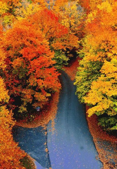 عکسهای دیدنی یکشنبه : 9 آبان 1389